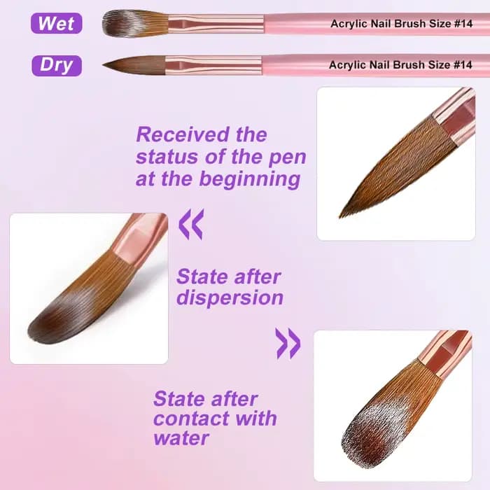 Brosse à ongles pour Application acrylique, 3 pièces, 8/10/14 #   Pinceaux à ongles professionnels r