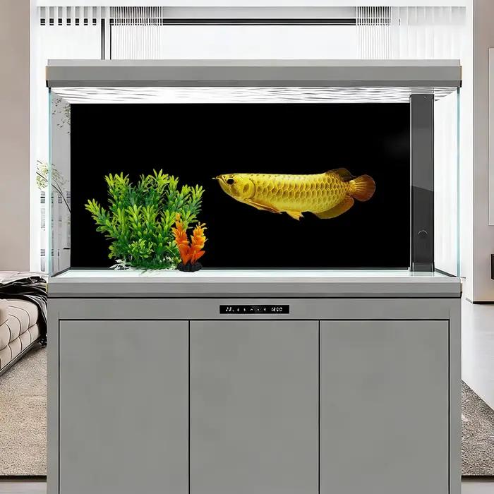 Peinture de fond d'aquarium noire, autocollants pour aquarium, toile de fond d'aquarium, décoration d'aquarium, fond de terrarium pour reptiles, décor d'aquarium