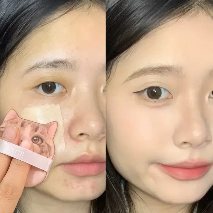 1-4 pièces chat coussin d'air bouffée de poudre Double face humide utilisation sèche correcteur fond de teint éponge coussins femmes beauté maquillage bouffées outils