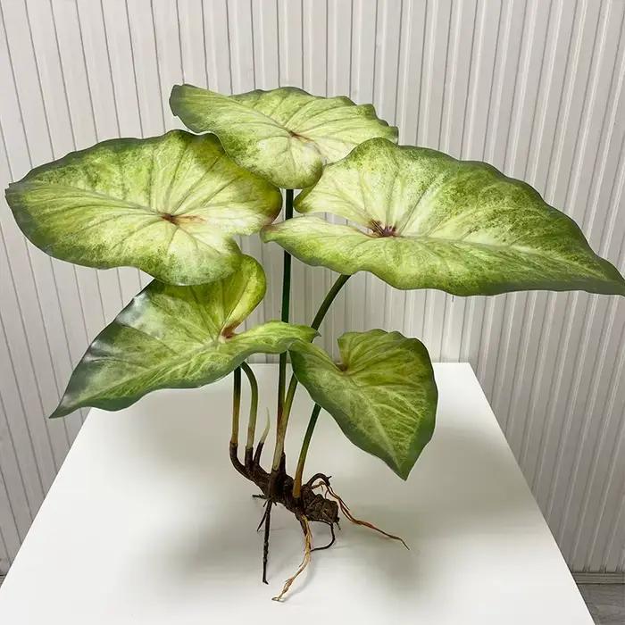 Grandes Feuilles d'Annie avec Racines, Plantes Artificielles Vertes, Paysage de Maison, Décor de Jardin, Simulation, Décor de Table de ixde Mariage