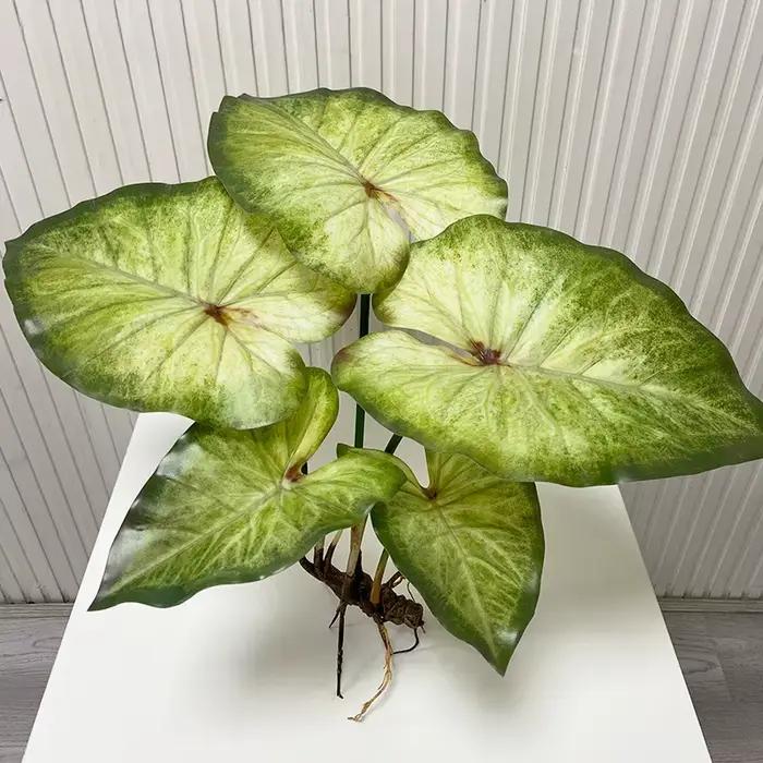 Grandes Feuilles d'Annie avec Racines, Plantes Artificielles Vertes, Paysage de Maison, Décor de Jardin, Simulation, Décor de Table de ixde Mariage