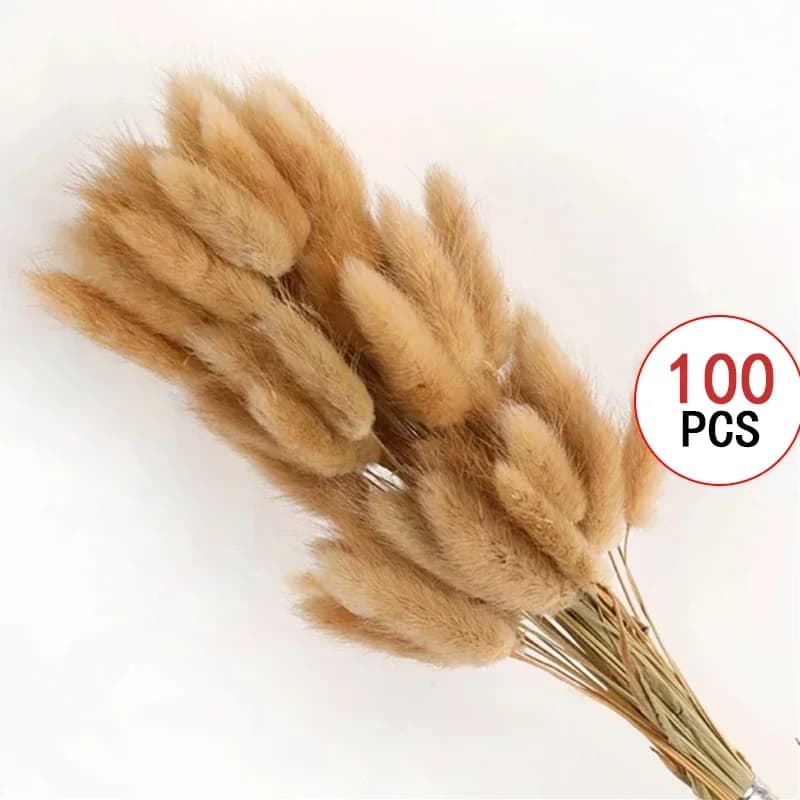 200 pièces Pampas herbe fleurs séchées Boho décoration maison ferme pays salle de mariage Table déco