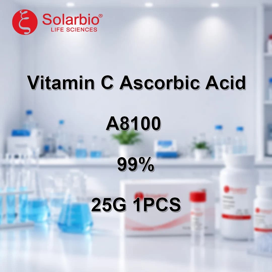 Solarbio A8100 Vitamine C Acide Ascorbique 99 % CAS 50-81-7 Réactif Biochimique Antioxydant pour Rec