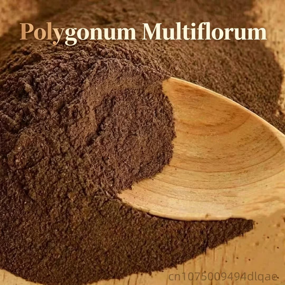 Poudre d'encens naturelle de haute qualité, poudre de racine de Polygonum Multiflorum, poudre de har