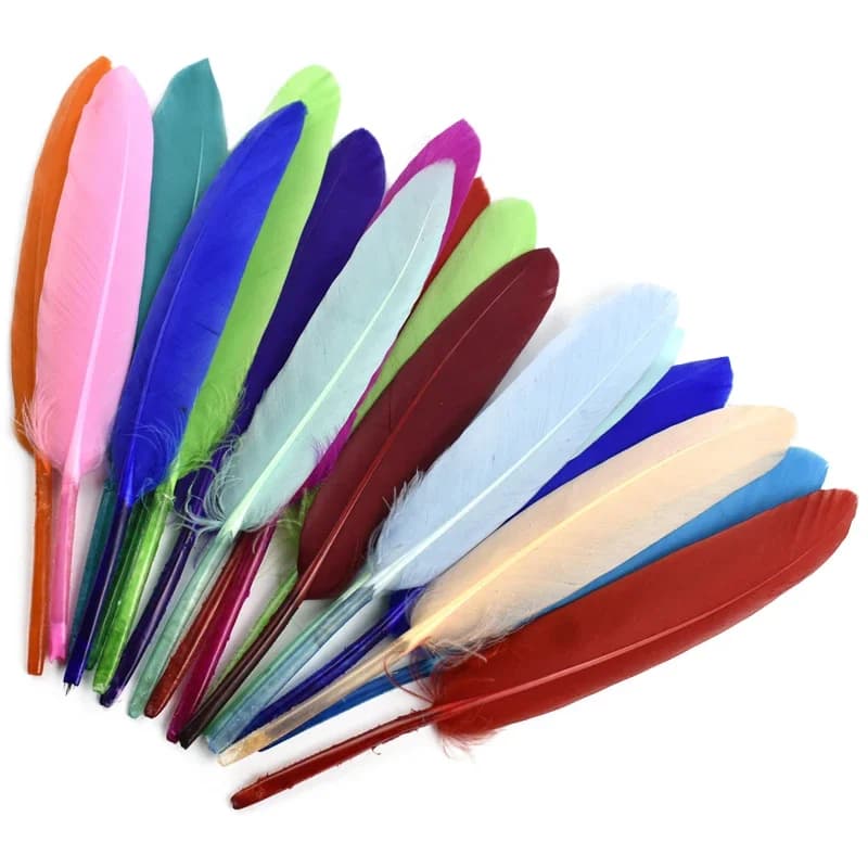 Plumes de canard noires, blanches, rouges, roses, bleues, pour vêtements, accessoires artisanaux, pl