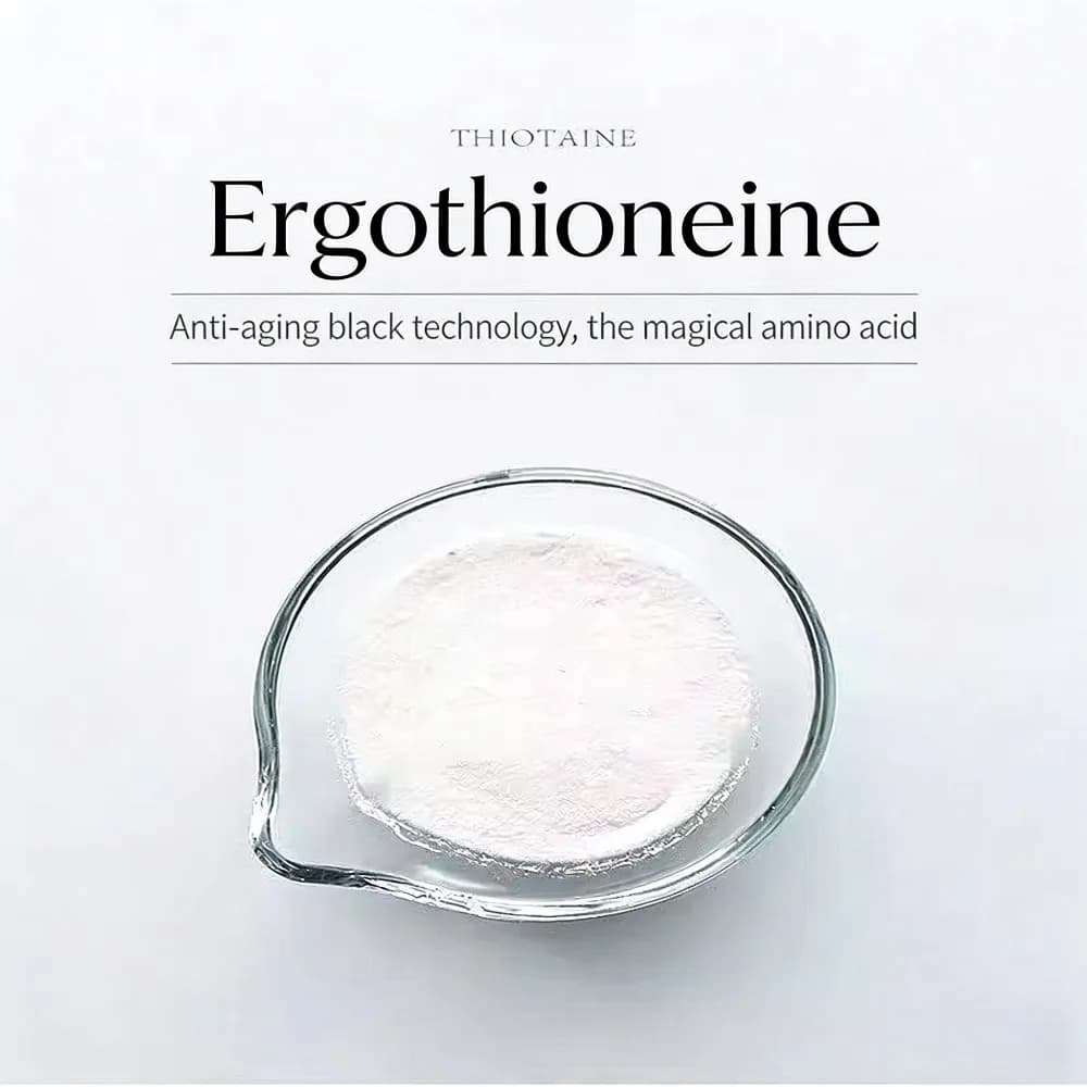 Poudre d'ergothionéine (EGT) de qualité cosmétique, pureté 99 % - Antioxydant naturel pour la formul