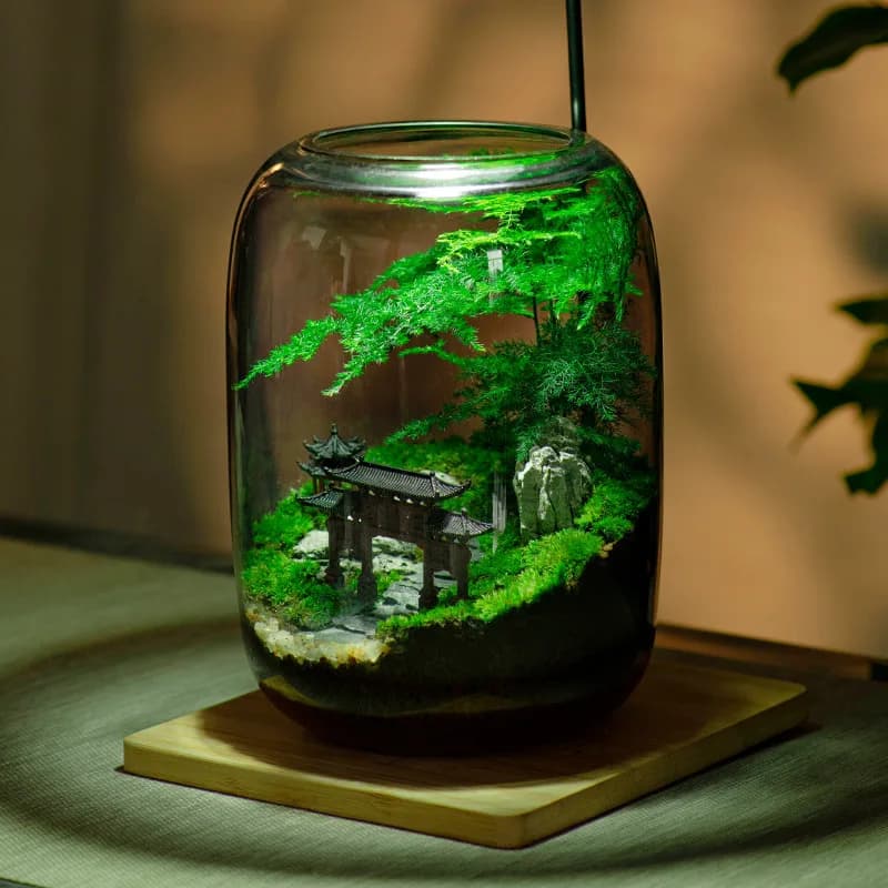Kit de terrarium en fibre végétale de qualité supérieure avec conception de sol de style campagnard 