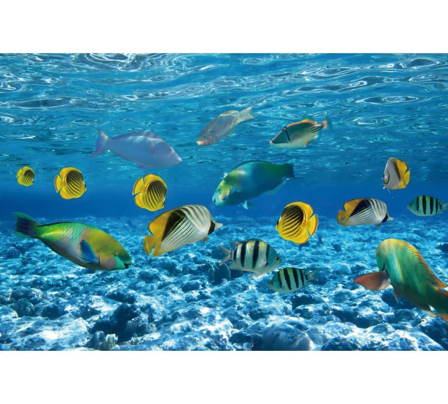 Toile de fond de photographie d'aquarium de lieux de poissons du monde sous-marin océanique, décor d