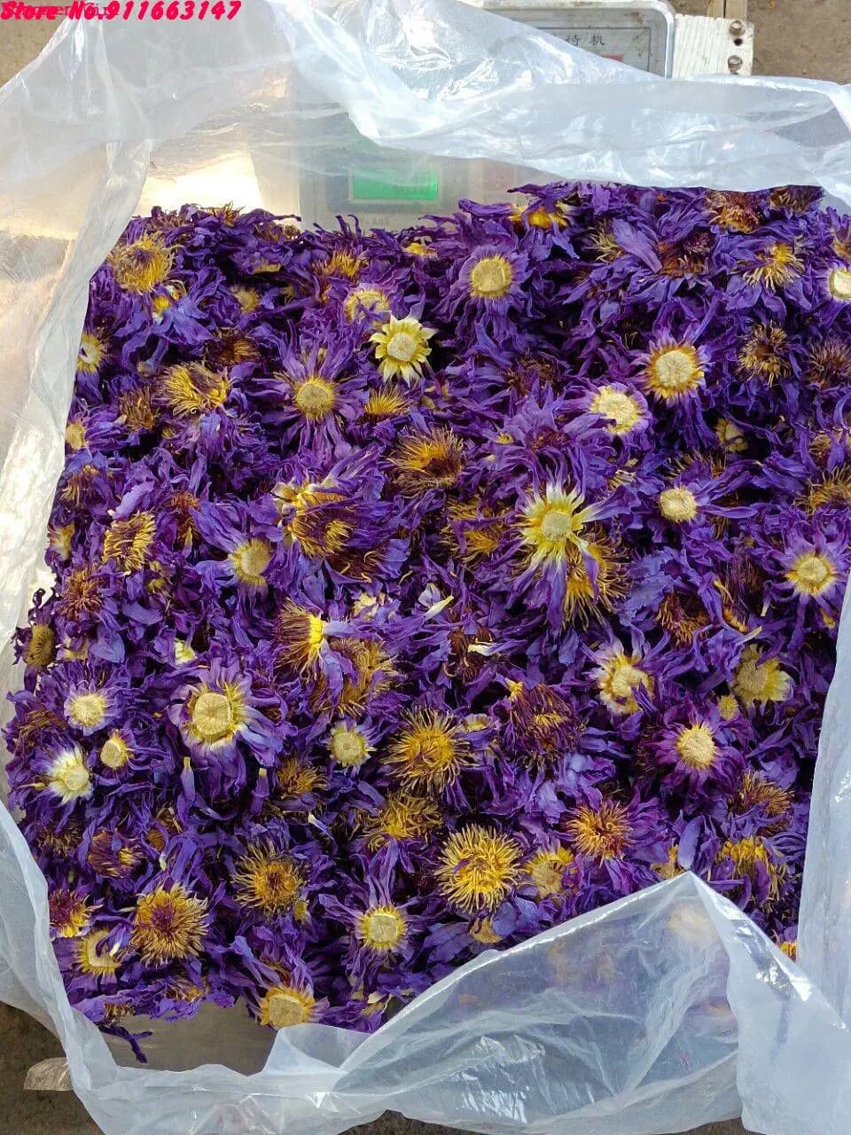 Fleurs séchées parfumées de fleur d'anni naturel, parfum de chambre fait maison, zone de décoration 
