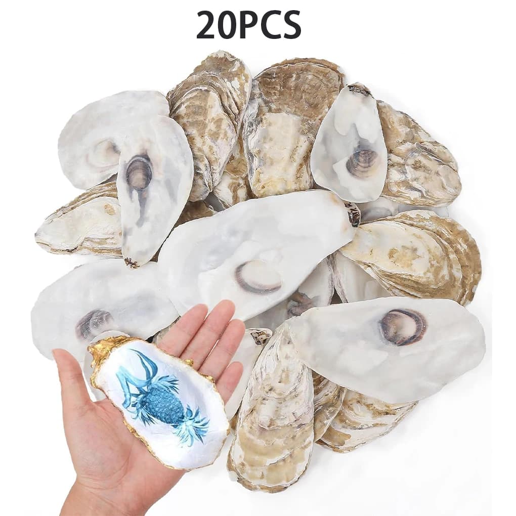 Remplisseur de Vase en coquille d'huître, coquilles d'huître naturelles pour projets de bricolage, c