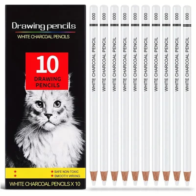 Crayons à charbon de bois blanc pour dessin, crayons de couleur blancs professionnels 10 pièces pour
