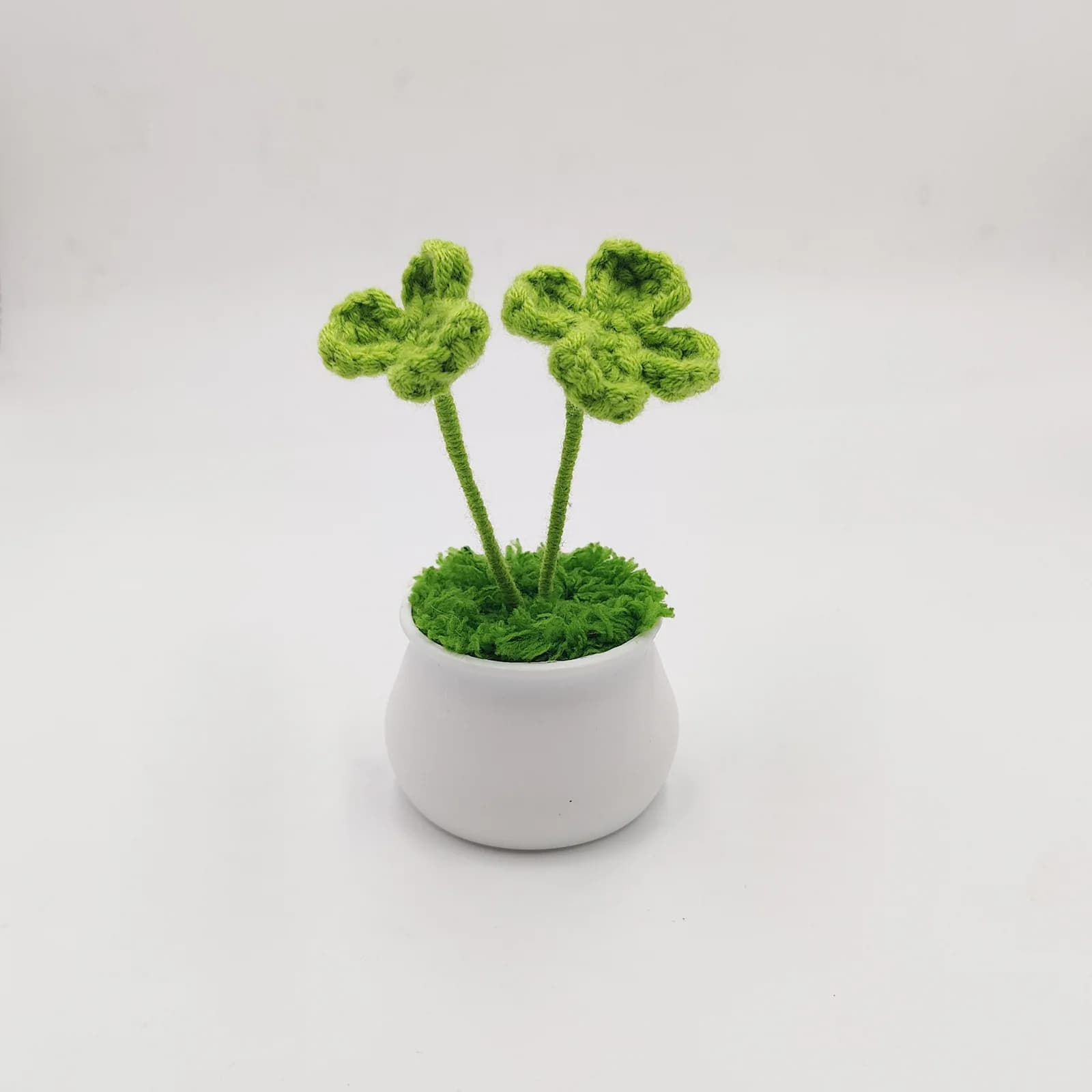 Plante en pot Everver Four scalp, ornement pour la maison, décoration de jardin et de bureau, cadeau