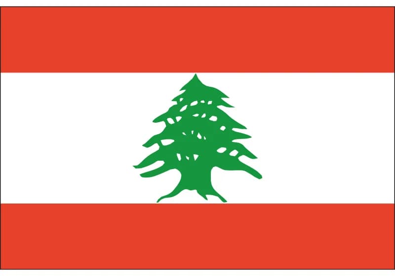 Drapeau National du pakistan, imprimé en Polyester, 90x150cm/60x90cm/15x21cm, 3x5 pieds