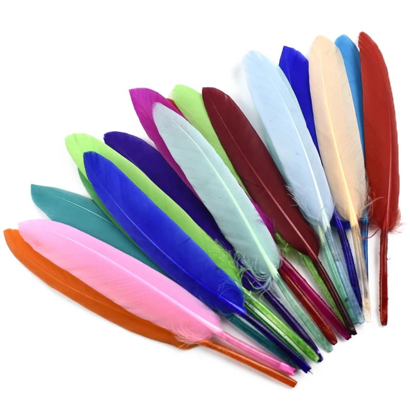 Plumes de canard noires, blanches, rouges, roses, bleues, pour vêtements, accessoires artisanaux, plumes d'oie, fabrication de bijoux, fournitures artisanales de bricolage