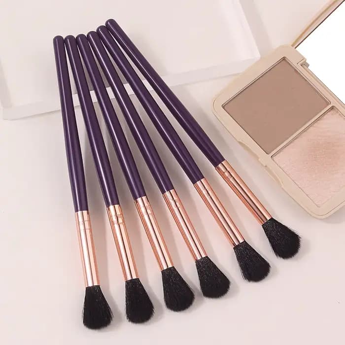 Lot de 6 pinceaux professionnels pour highlighter