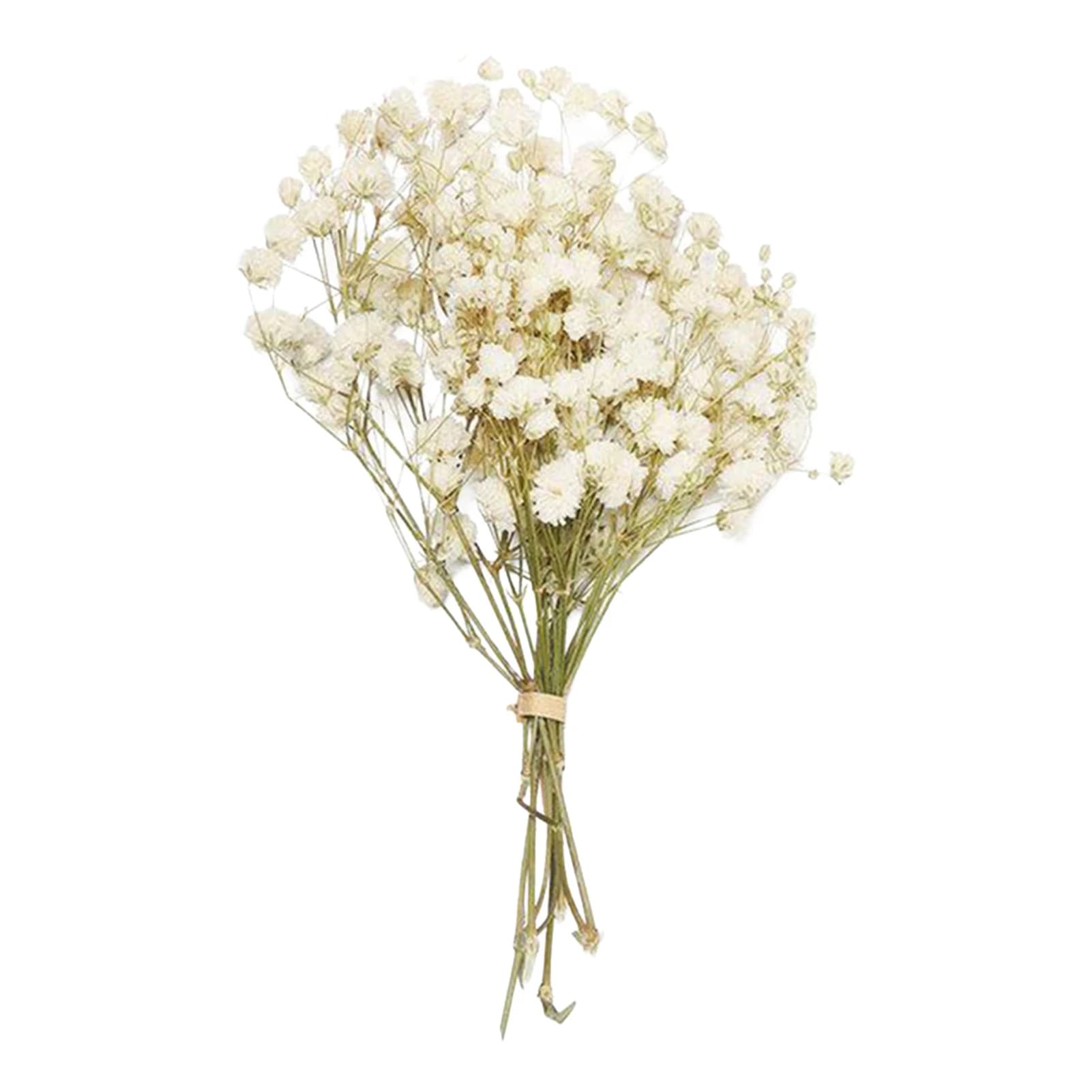 Mini bouquet de fleurs préservées avec gypsophile et herbe de l'amour pour la décoration de la maiso